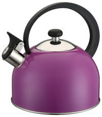 Home appliance parts boiling water whistle kettle stainless steel electric kettle