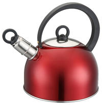 Kitchen accessories 2.5L/3.0L color paint stainless steel whistling non-electric